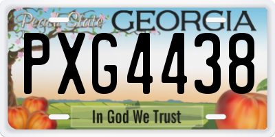 GA license plate PXG4438