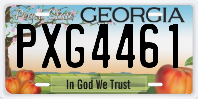 GA license plate PXG4461