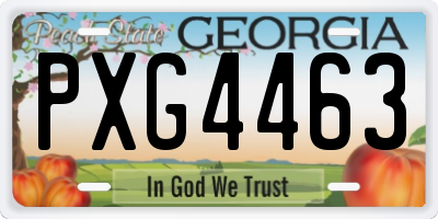 GA license plate PXG4463