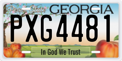 GA license plate PXG4481