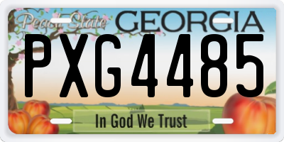 GA license plate PXG4485