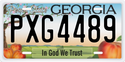 GA license plate PXG4489