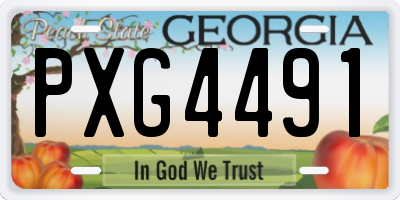 GA license plate PXG4491