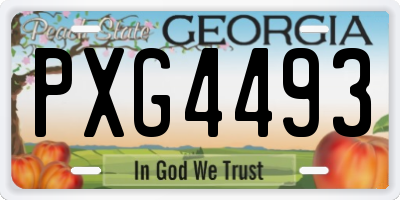 GA license plate PXG4493