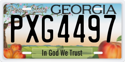 GA license plate PXG4497