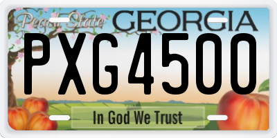 GA license plate PXG4500