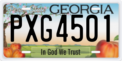GA license plate PXG4501