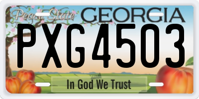 GA license plate PXG4503