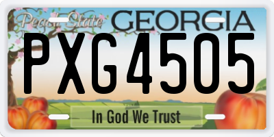 GA license plate PXG4505
