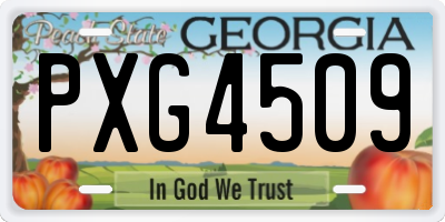 GA license plate PXG4509