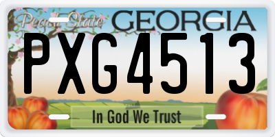 GA license plate PXG4513