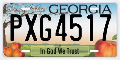 GA license plate PXG4517