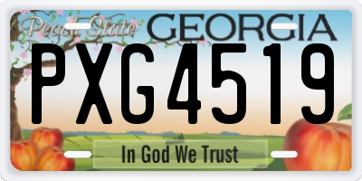 GA license plate PXG4519