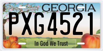 GA license plate PXG4521