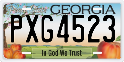 GA license plate PXG4523
