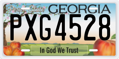 GA license plate PXG4528