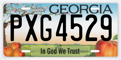 GA license plate PXG4529