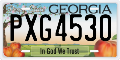 GA license plate PXG4530