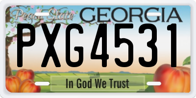 GA license plate PXG4531