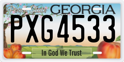 GA license plate PXG4533