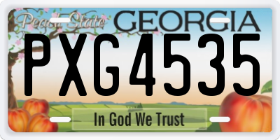 GA license plate PXG4535