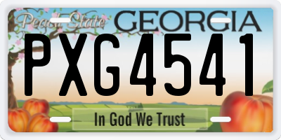 GA license plate PXG4541