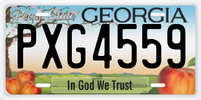 GA license plate PXG4559