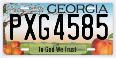 GA license plate PXG4585