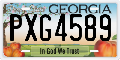 GA license plate PXG4589