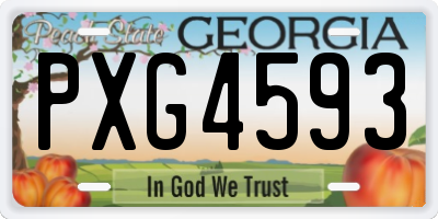 GA license plate PXG4593