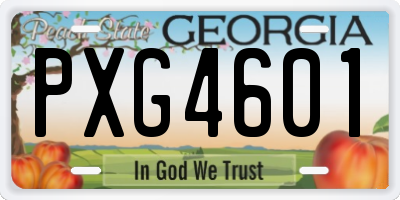 GA license plate PXG4601