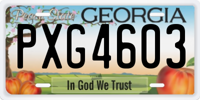 GA license plate PXG4603