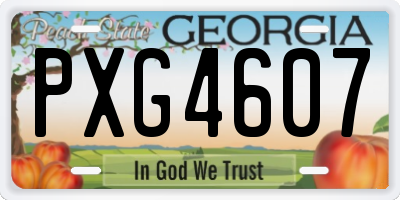 GA license plate PXG4607
