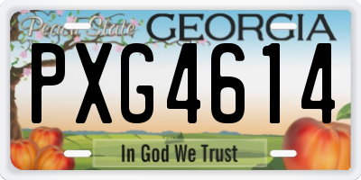 GA license plate PXG4614