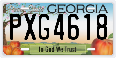 GA license plate PXG4618