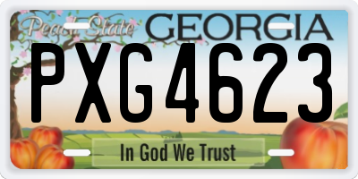 GA license plate PXG4623