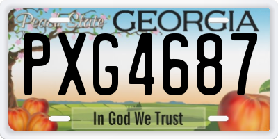 GA license plate PXG4687