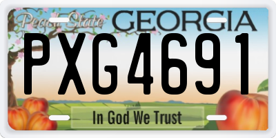 GA license plate PXG4691