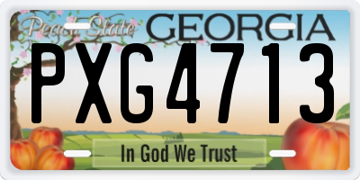 GA license plate PXG4713