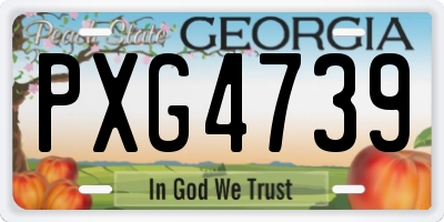 GA license plate PXG4739
