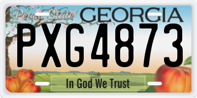 GA license plate PXG4873