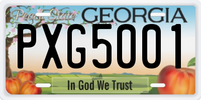GA license plate PXG5001
