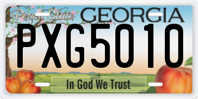 GA license plate PXG5010