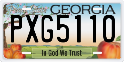 GA license plate PXG5110