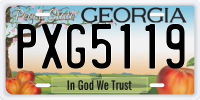 GA license plate PXG5119