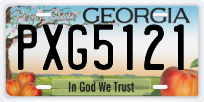 GA license plate PXG5121