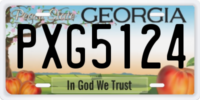 GA license plate PXG5124