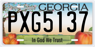 GA license plate PXG5137