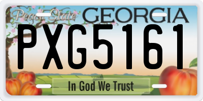 GA license plate PXG5161