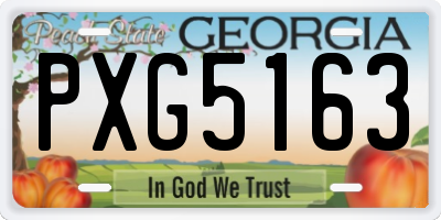 GA license plate PXG5163